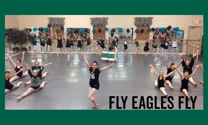 DSDW Fly Eagles Fly Song